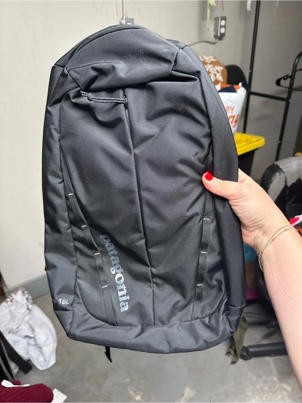 Patagonia Black Everyday 18L Backpack - Picture 1 of 4